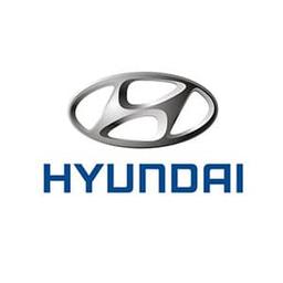 Brands Hyundai